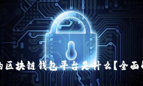 全球最大的区块链钱包平台是什么？全面解析与比较