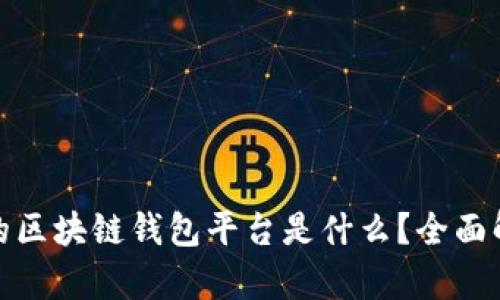 全球最大的区块链钱包平台是什么？全面解析与比较