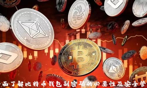 
全面了解比特币钱包副密码的必要性及安全管理
