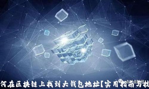 
如何在区块链上找到大钱包地址？实用指南与技巧