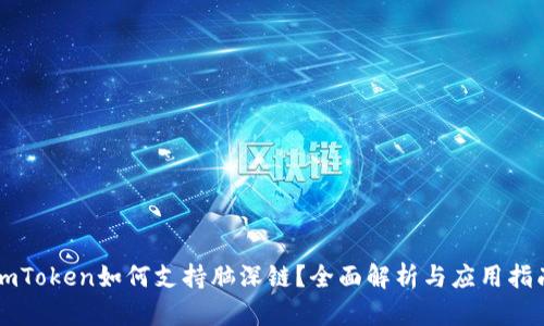 imToken如何支持脑深链？全面解析与应用指南